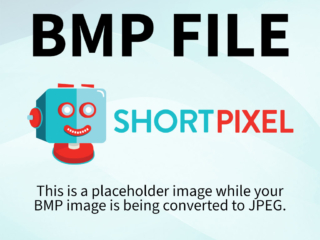 Preston Newspaper Article #1