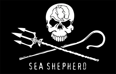 Sea Shepherd Direct Action Crew Member